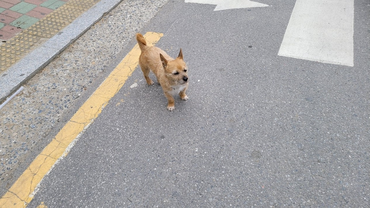 KakaoTalk_20220430_200602856_05 (2).jpg