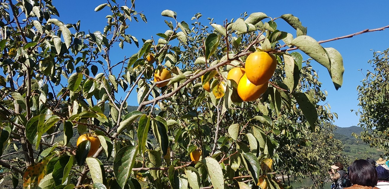 기억과 실존_사진_20191015_12.jpg