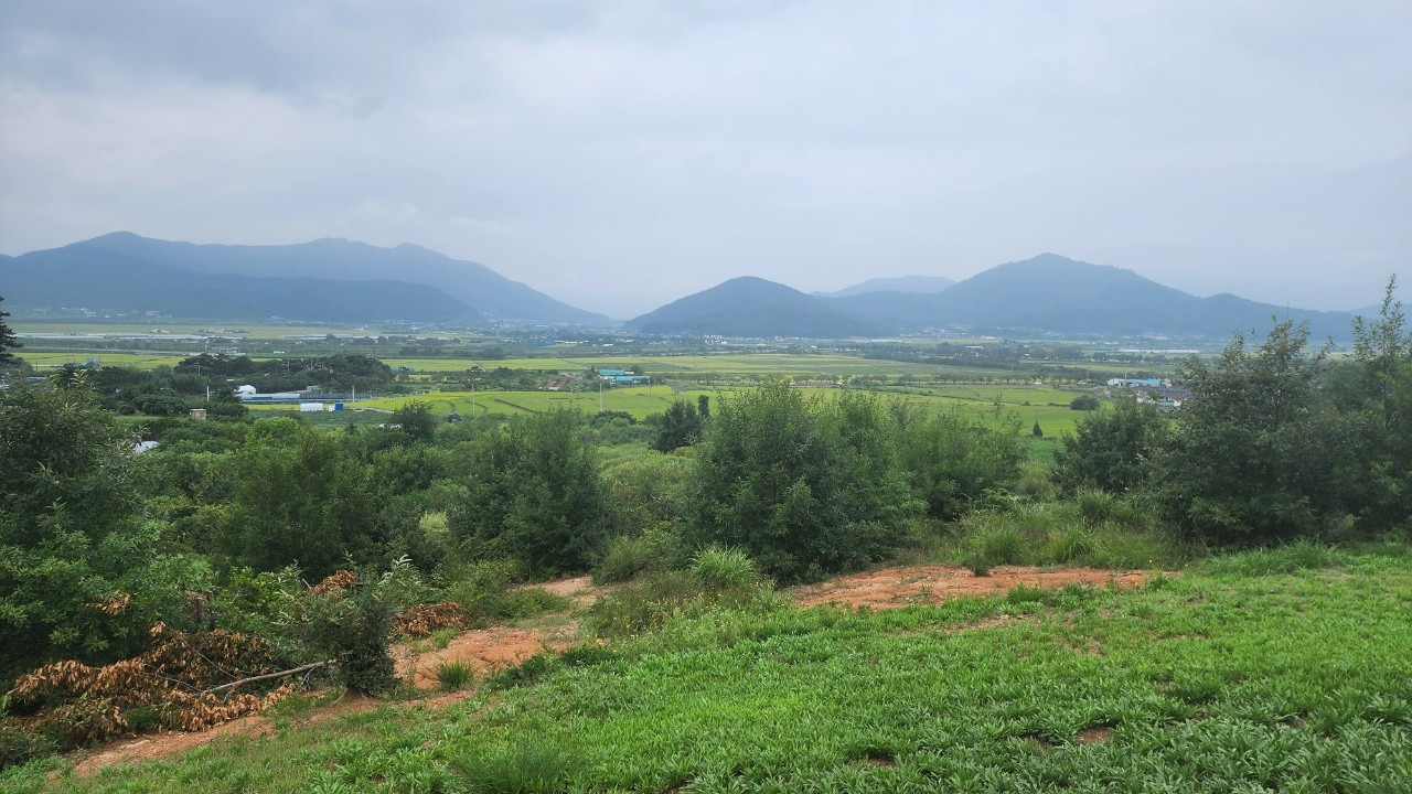 기억과 실존_사진_20240920_4.jpg