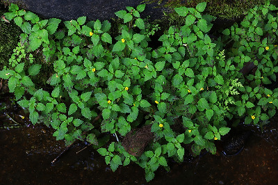 0P6A3824-1(인) (2).jpg