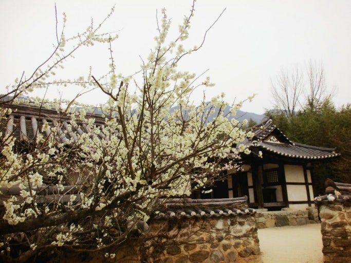 원주 박경리 문학공원.jpg