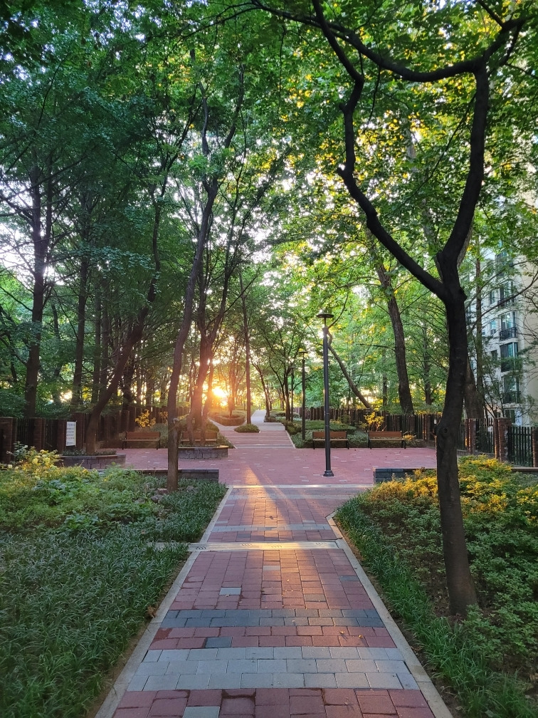 피아노 Resized_20250727_055411.jpg