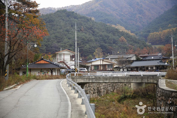 춘양목 산촌 마을.jpg