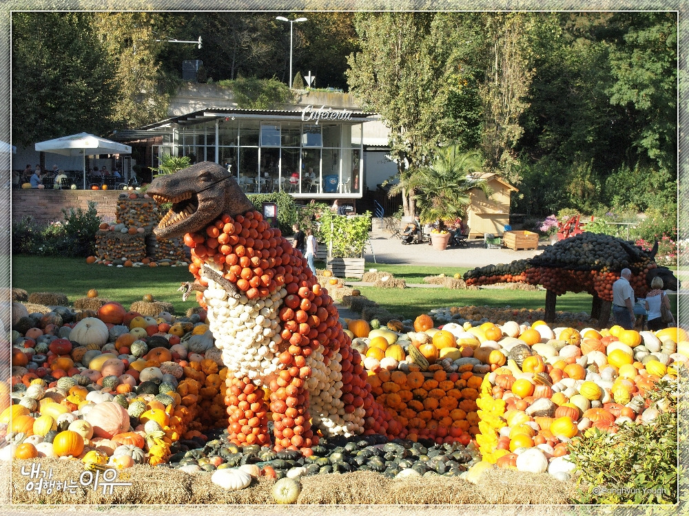 호박축제01.jpg
