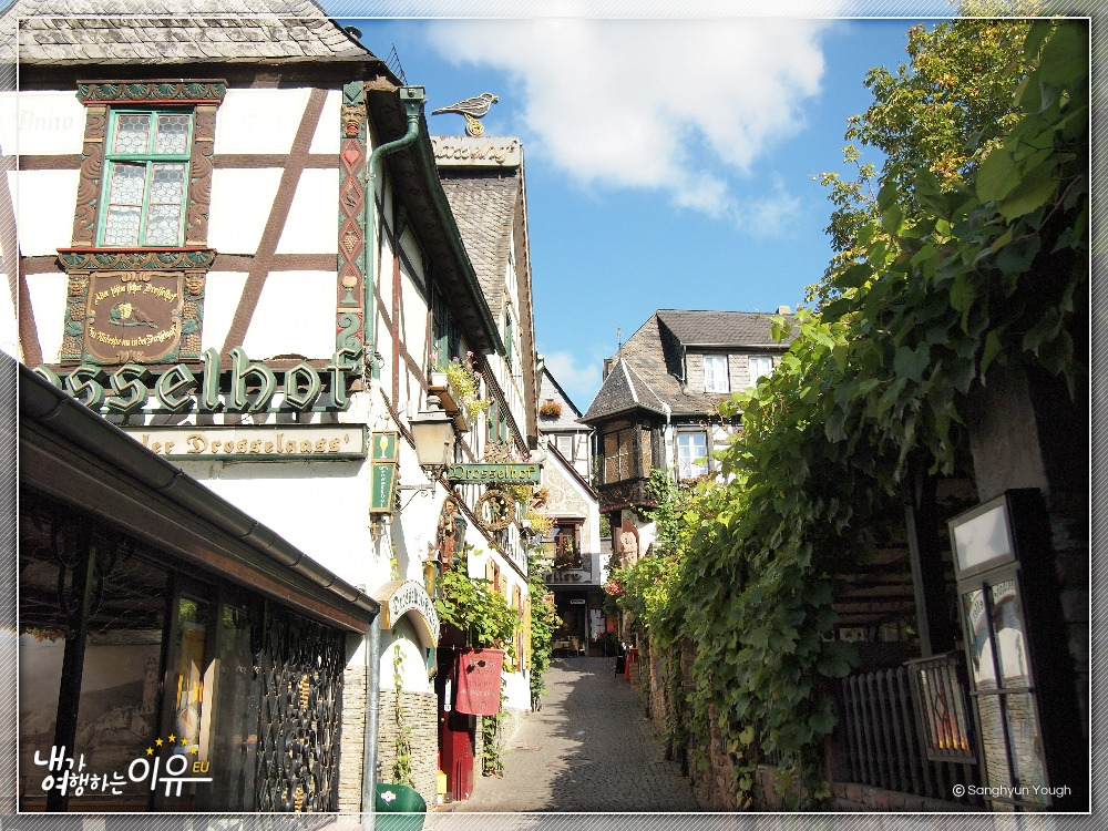 드로셀골목01.jpg