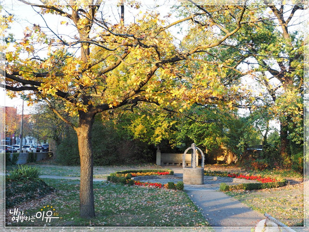 루터의나무01.jpg