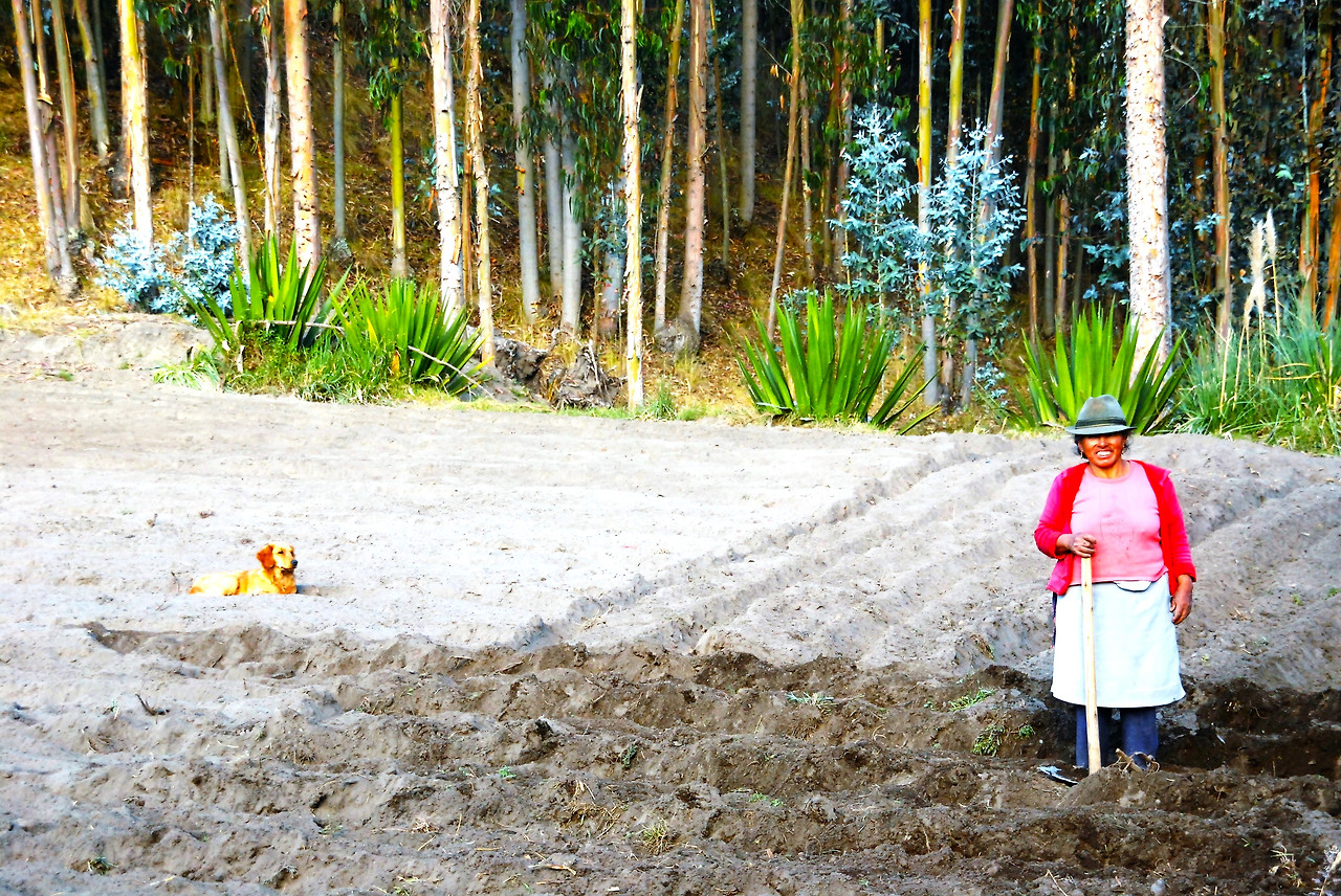 Rio bamba. Ecuador. 1004018.jpg