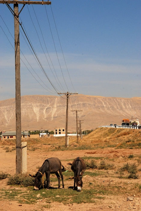 Pamir Tajikistan1510134c.jpg