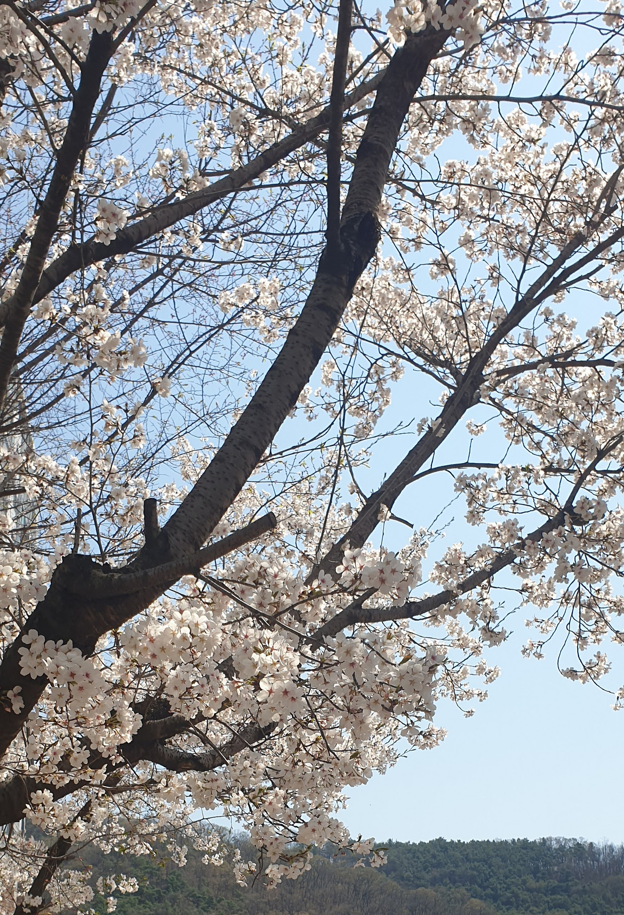 카지노 게임