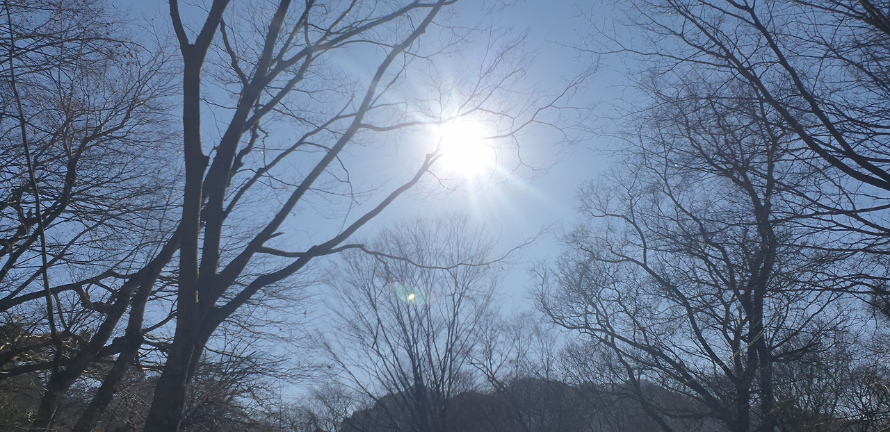 무료 카지노 게임