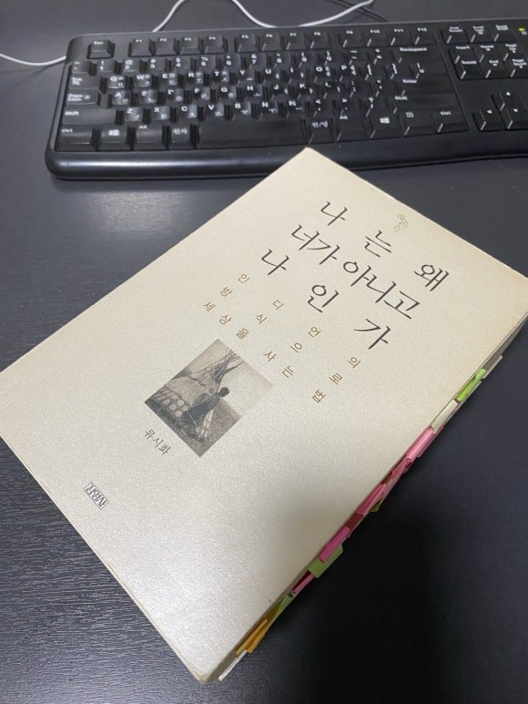 카지노 게임 사이트
