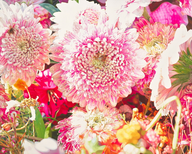 [크기변환]fresh-m no.24, 2022, Oil on canvas, 130.3 x 162.2 cm.jpg