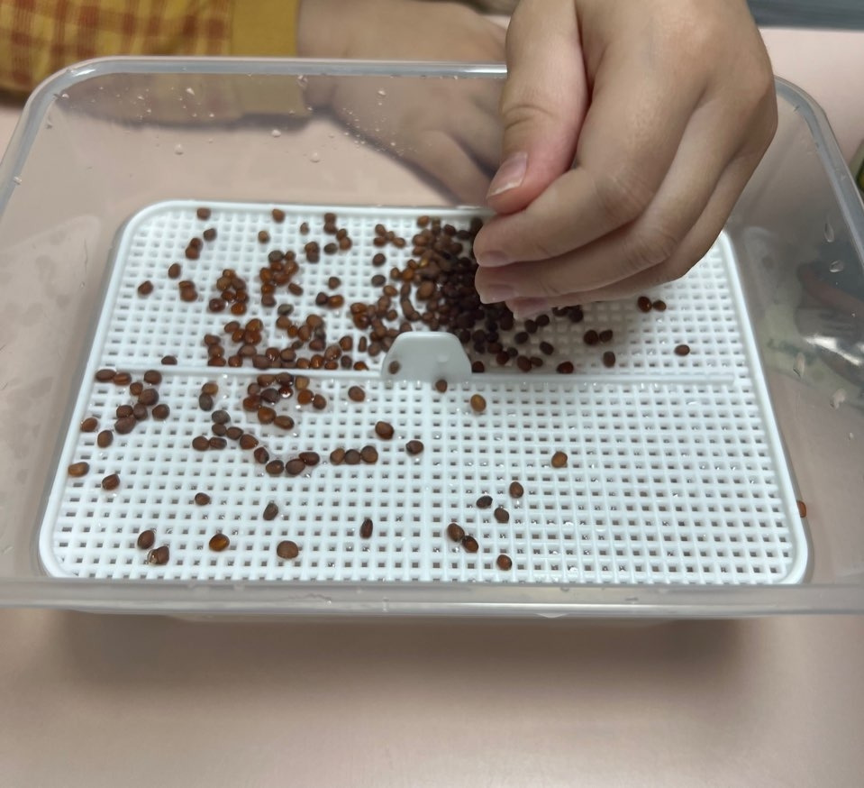 스터디 그림 3.jpg