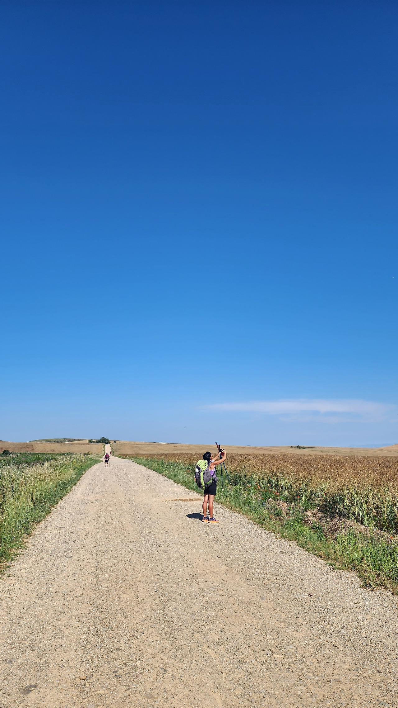 메세타 까미노.jpg