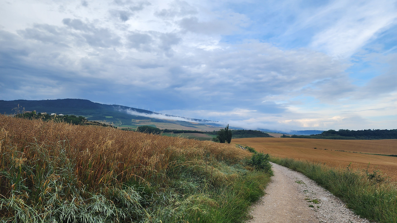순례길 산길.jpg