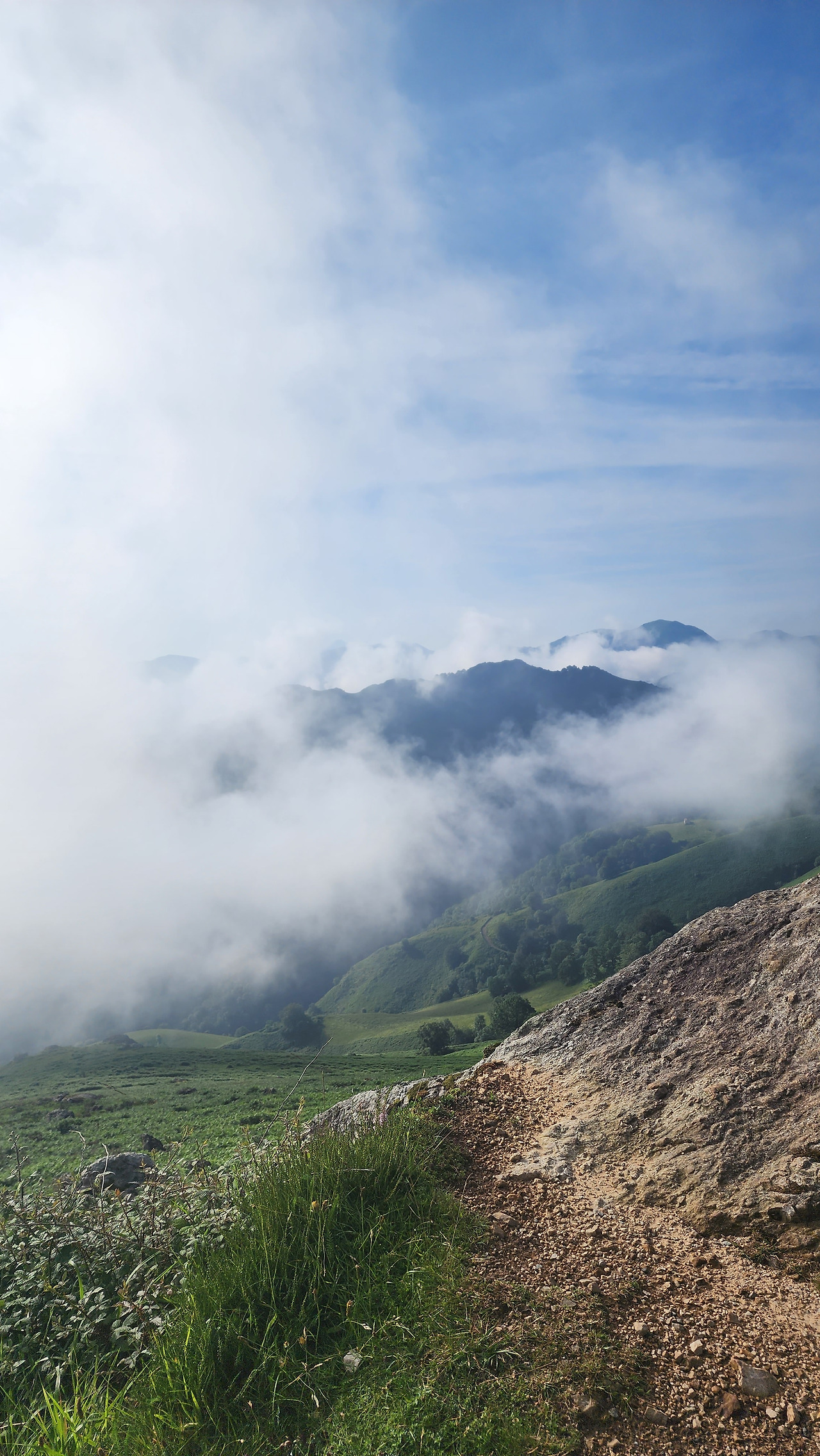 피레네 가는길.jpg