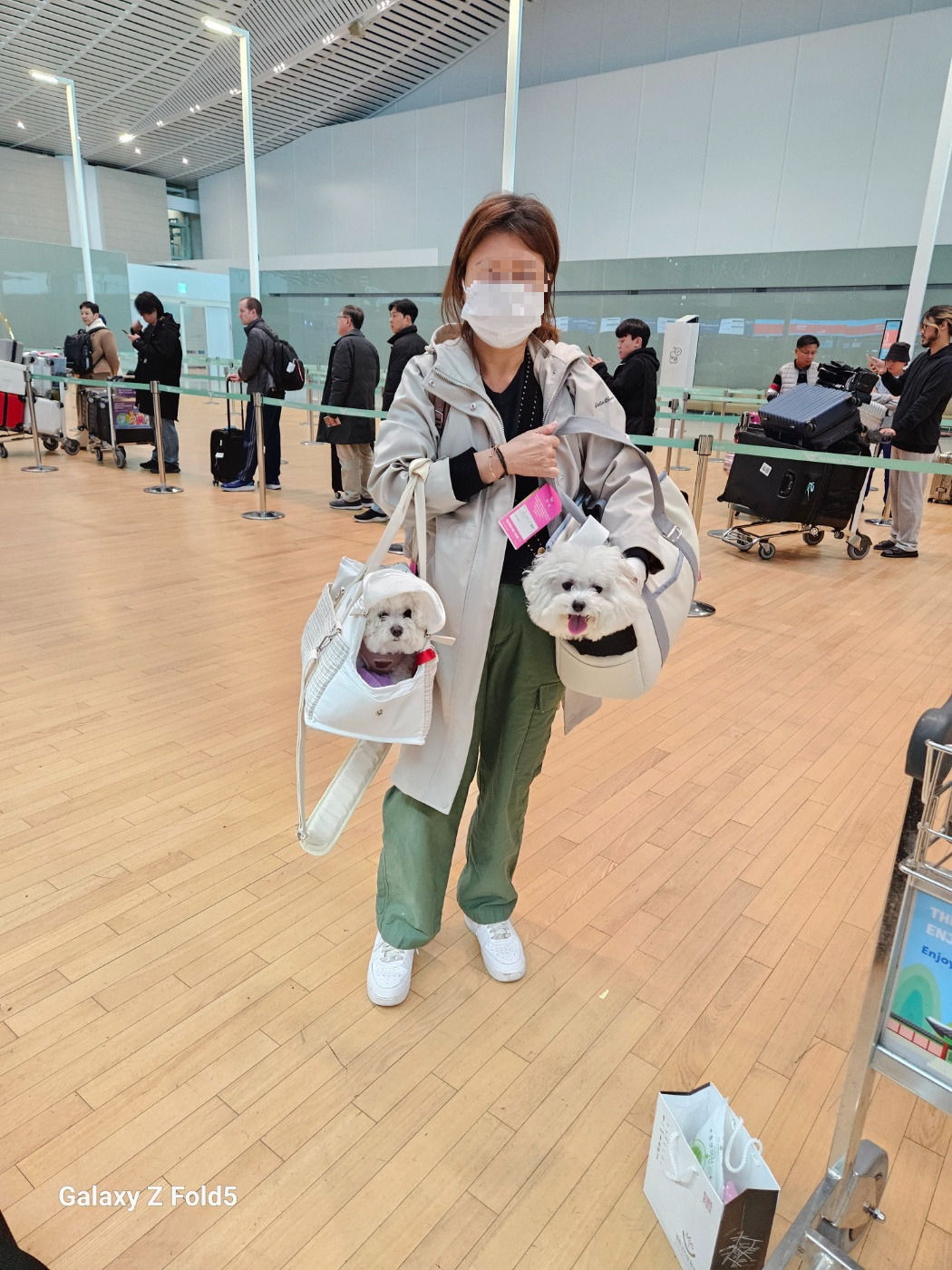 반려견 동반 공항.jpg