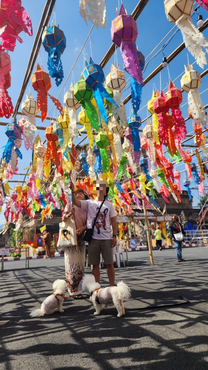 치앙마이 연등 2.jpg