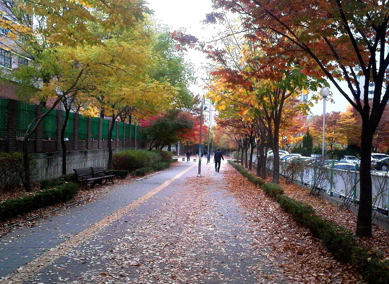 2012-02-22 20.47.08.jpg