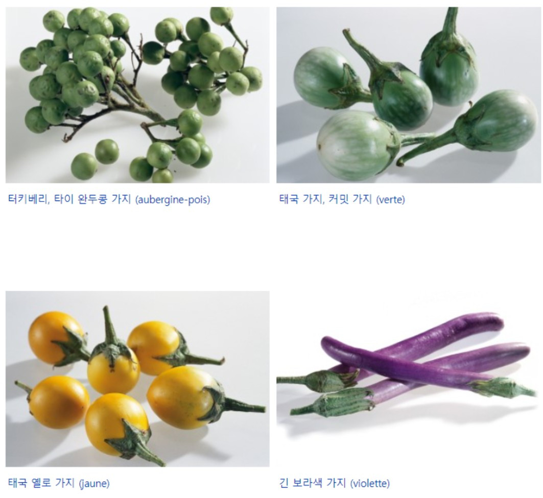 가지 그랑 라루스 식재료도감.jpg