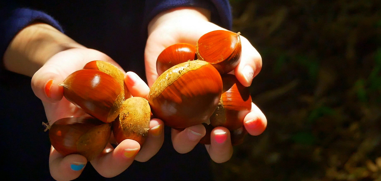알밤 공유마당.jpg