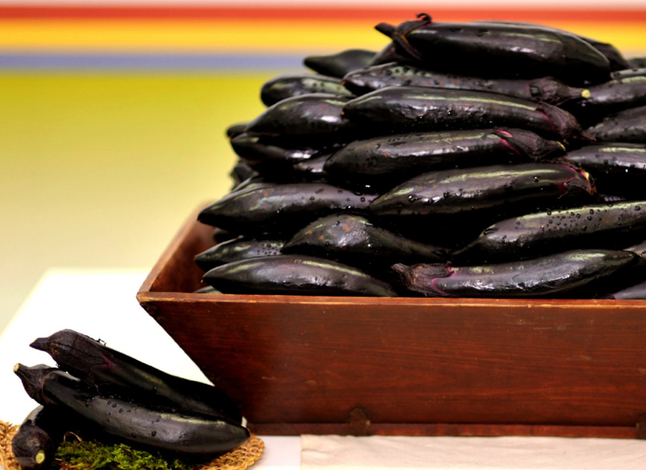 가지 여주시농업기술센터.jpg