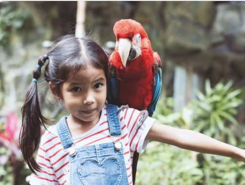 singaporezootickets 2.jpg