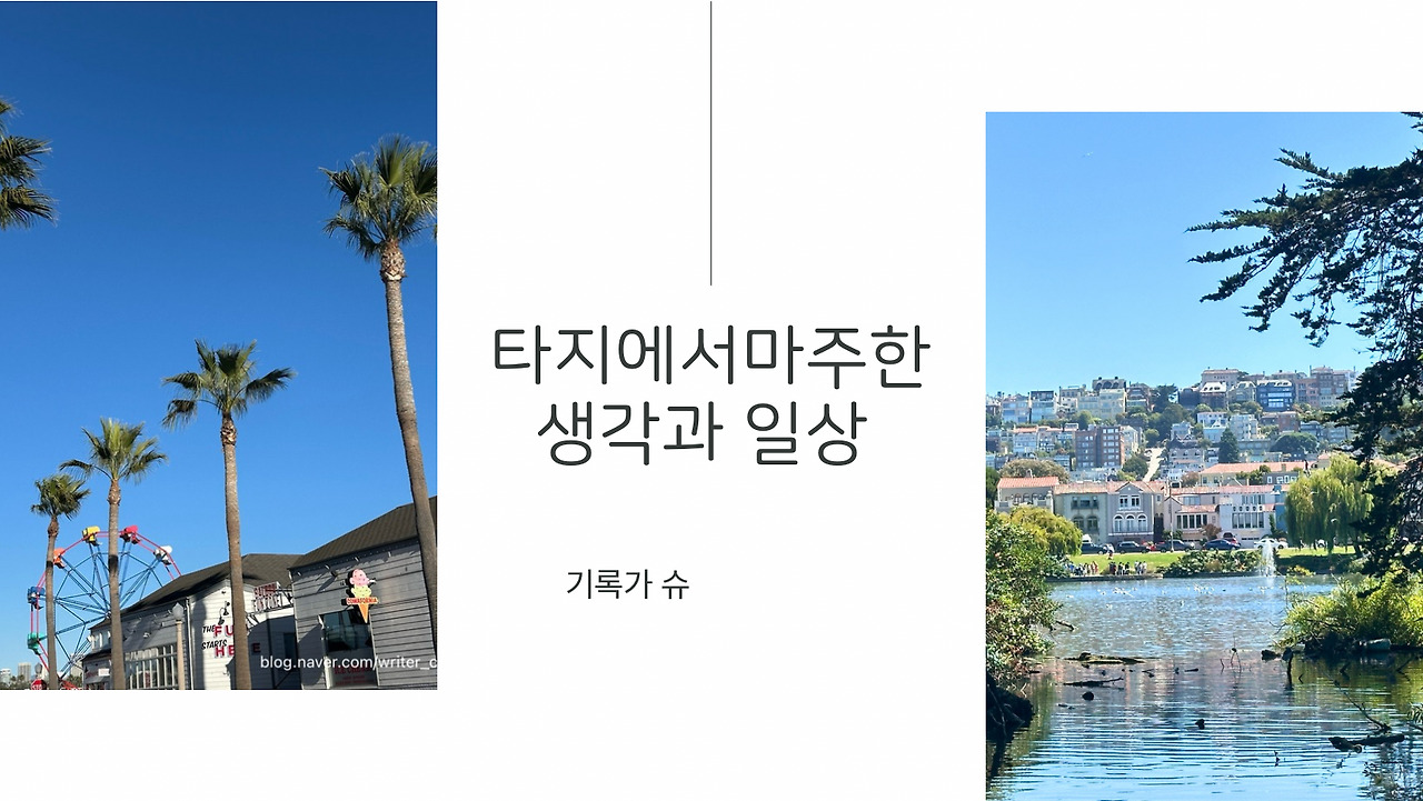 온라인 카지노 게임