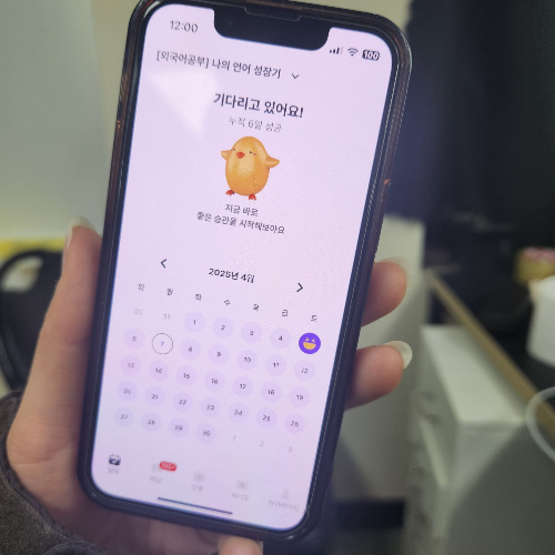 감사 일기 앱.jpg