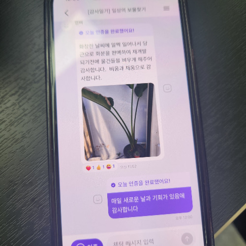 감사 일기 효과.jpg