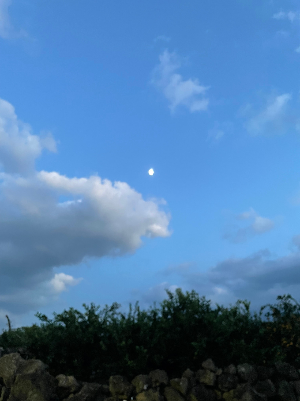 [022] 해안동 달.jpg