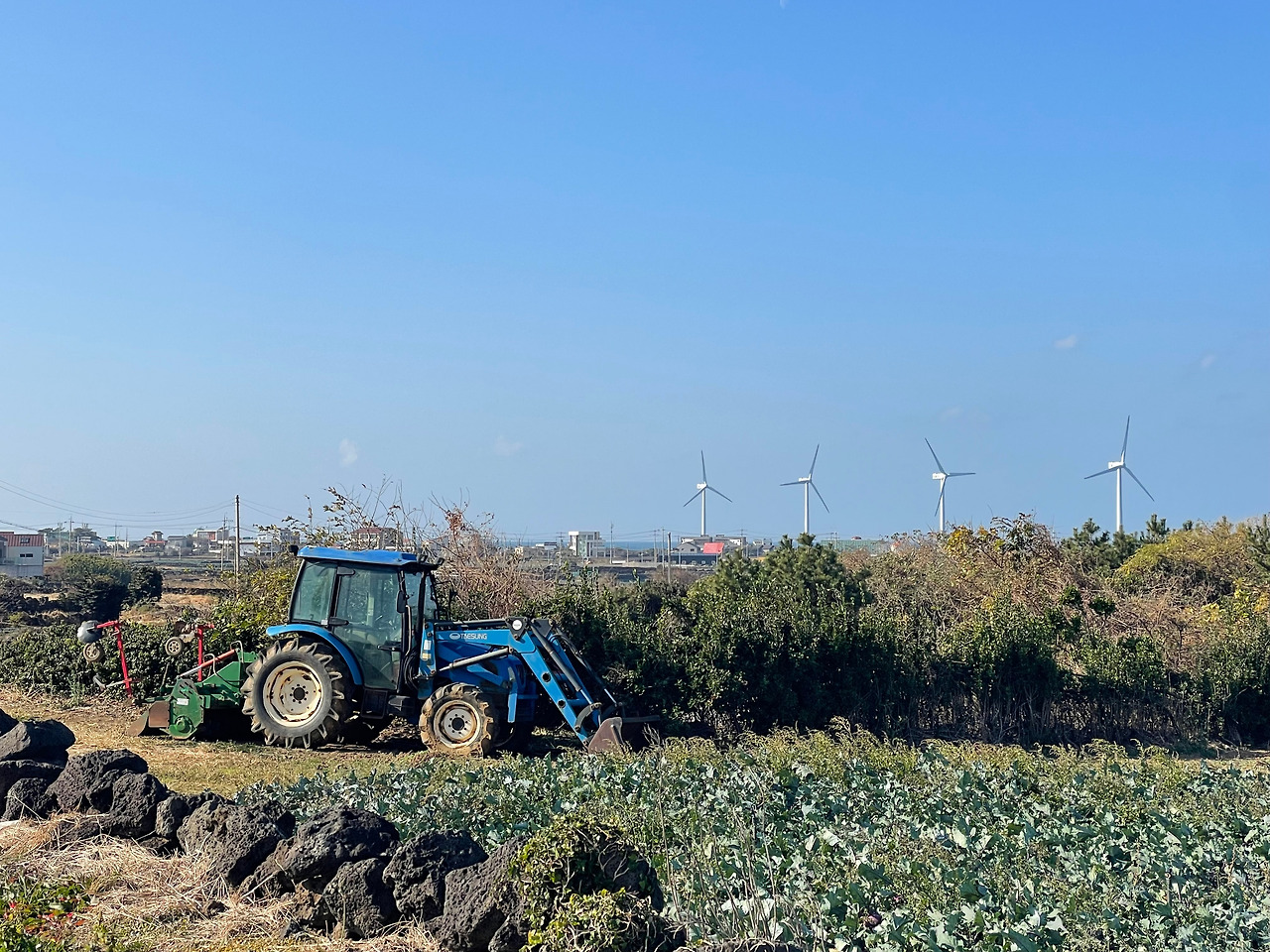[028] 트랙터와 밭.jpg