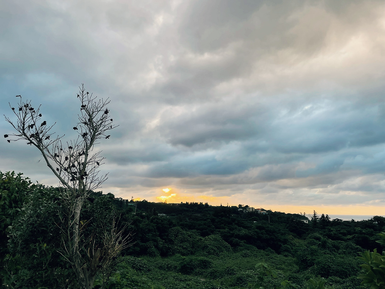 [019] 해안동 하늘.jpg