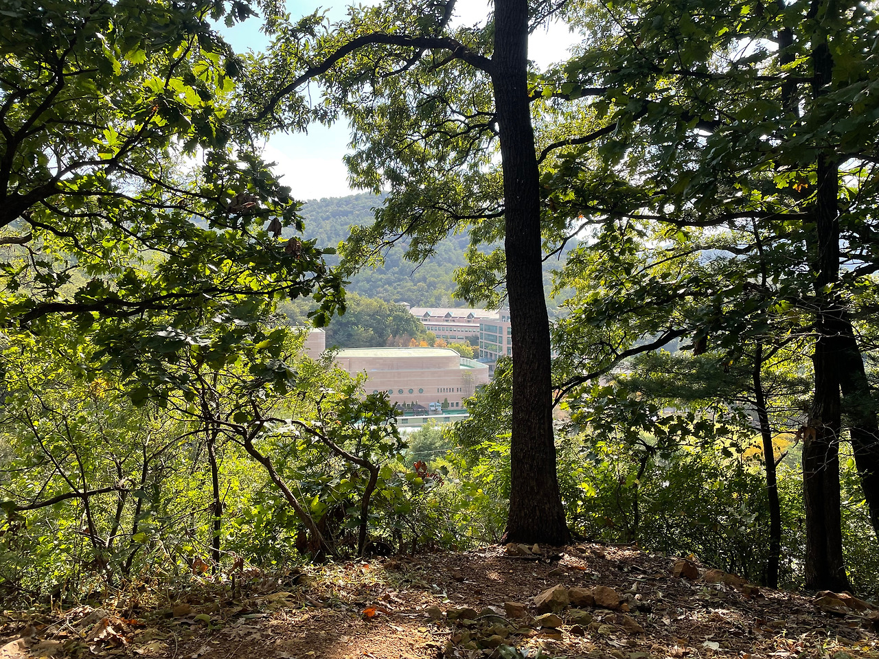 [020] 회사 뒷산 아지트.jpg