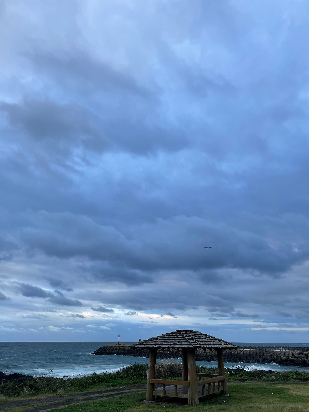 [024] 신천리 정자.jpg