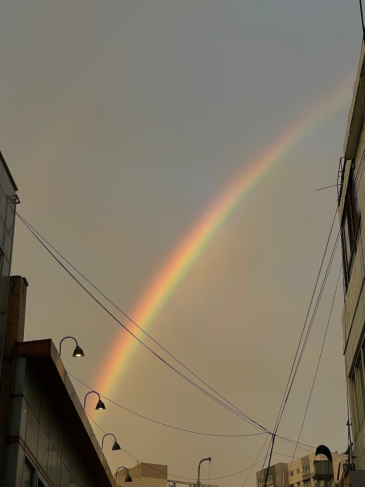 [014] 무지개.jpg