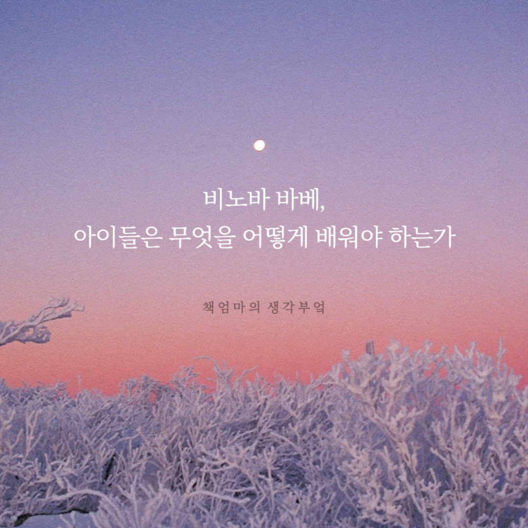 비노바바베-001 (1).jpg