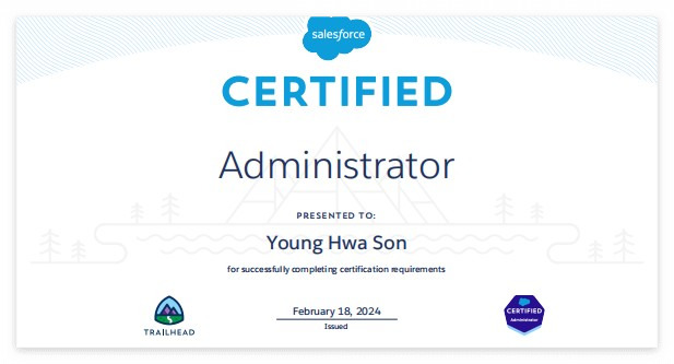 salesforce admin.jpg