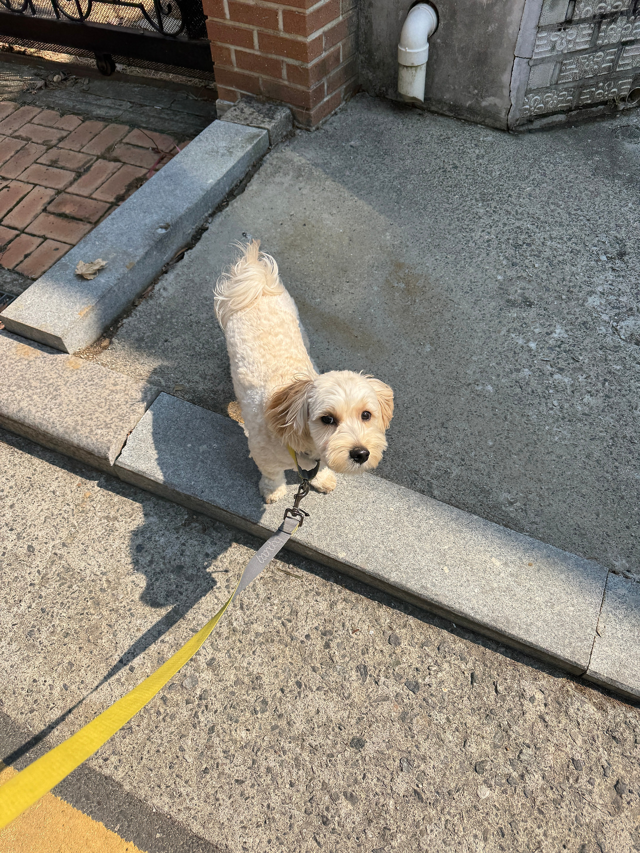 카지노 쿠폰