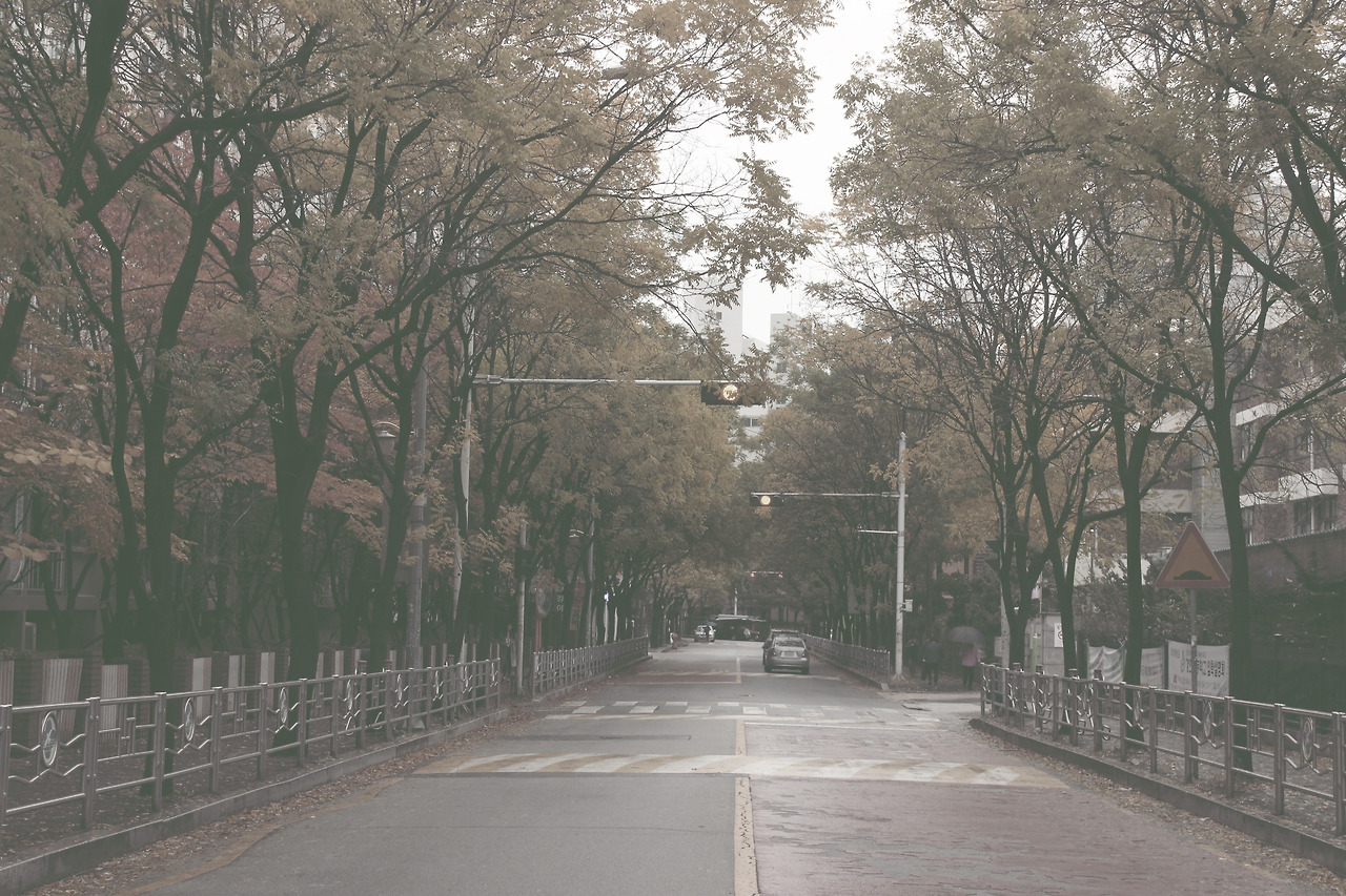 IMG_2516화랑대역주변 사본.jpg