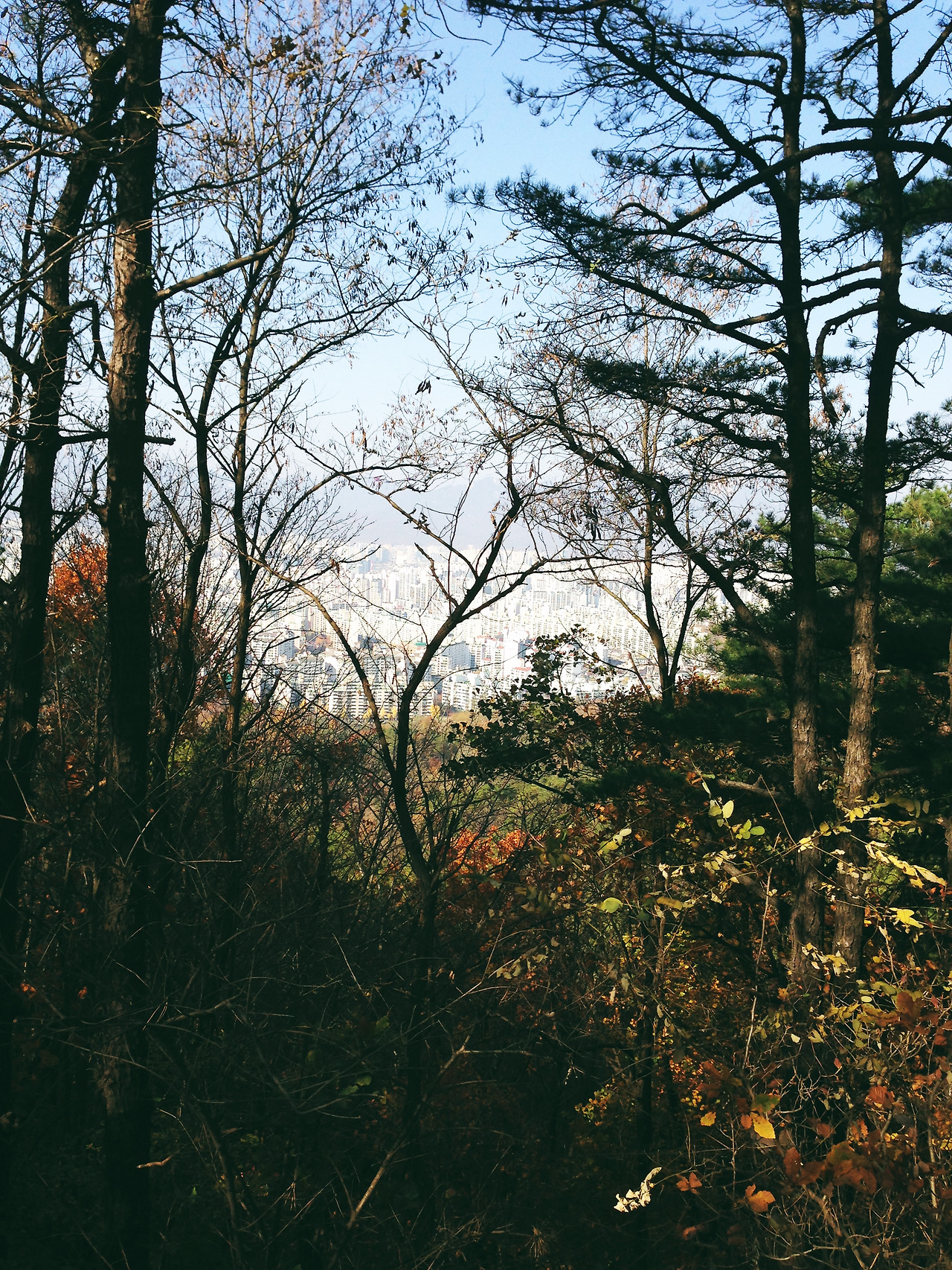 IMG_1265 사본.jpg