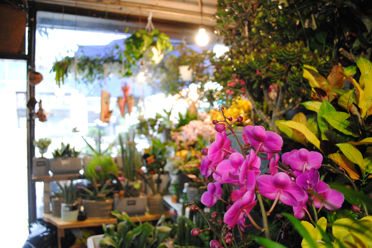 사진3의 사본.jpg