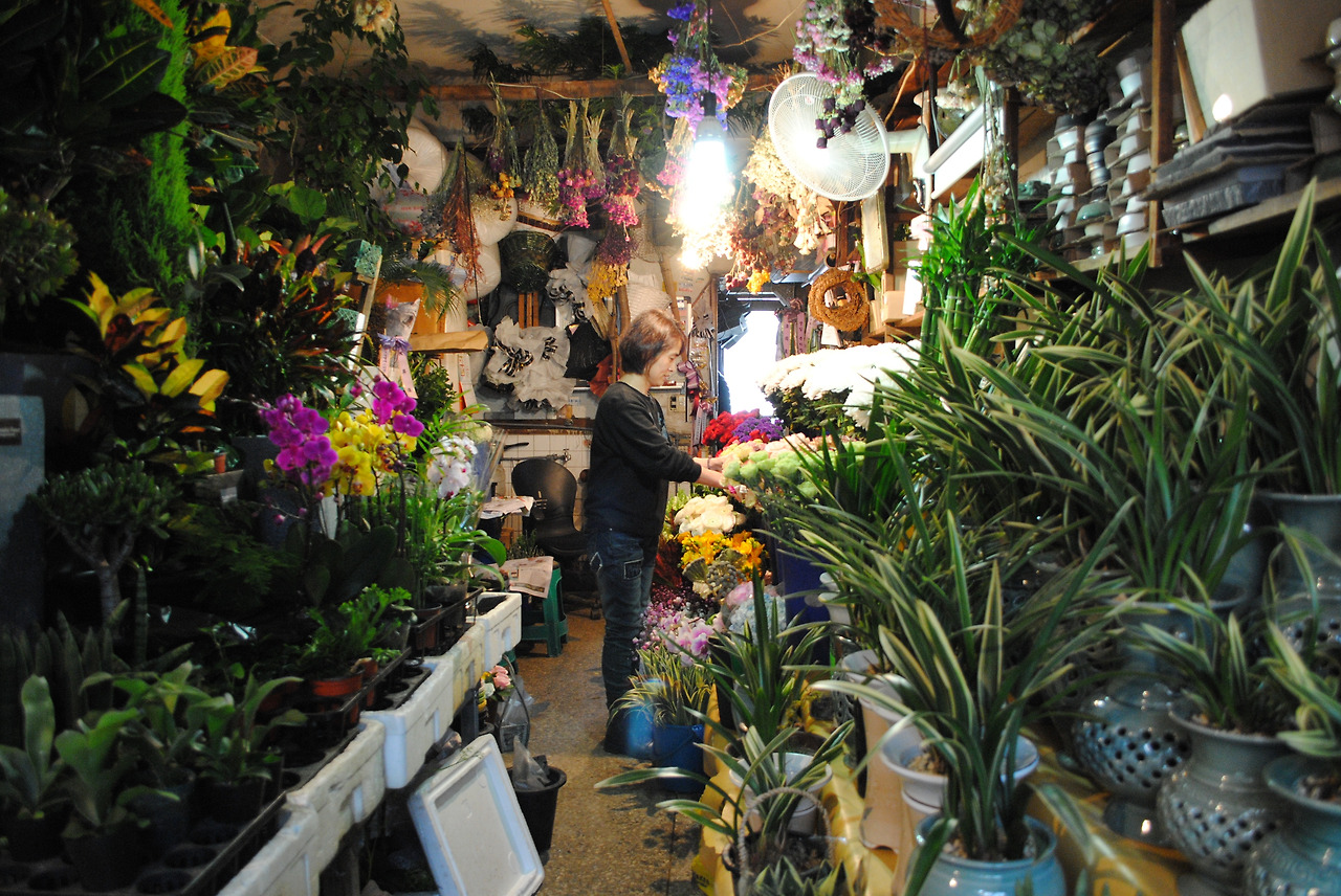 타이틀의 사본.jpg