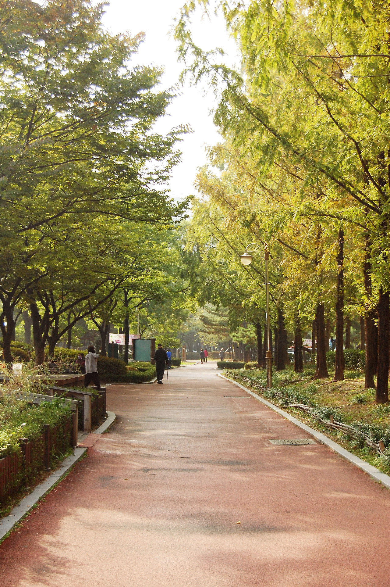 중계 근린공원 거리1.jpg