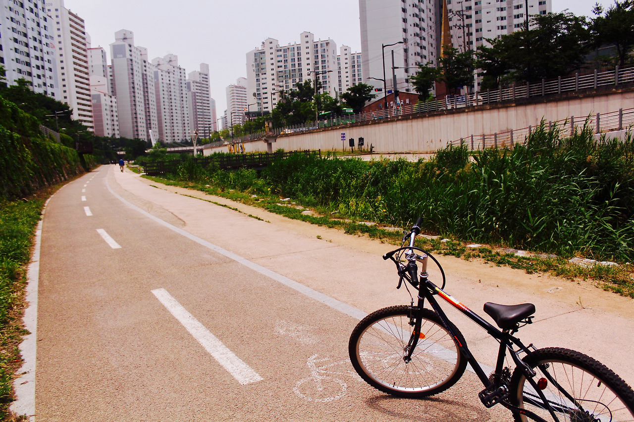 당현천 수정 사진 (1).jpg