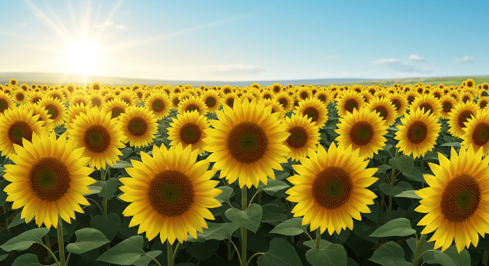 image_fx - 2025-04-18T002052.162.jpg