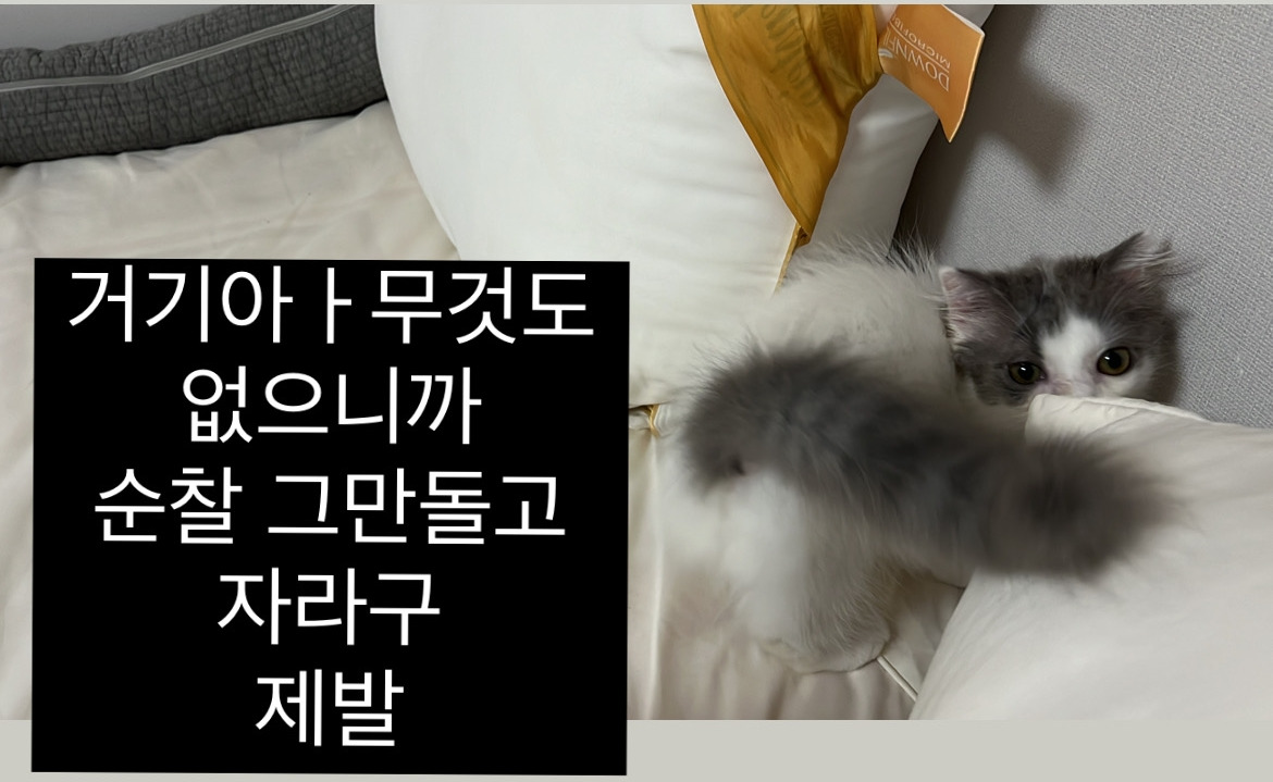KakaoTalk_20250501_132018535_12.jpg
