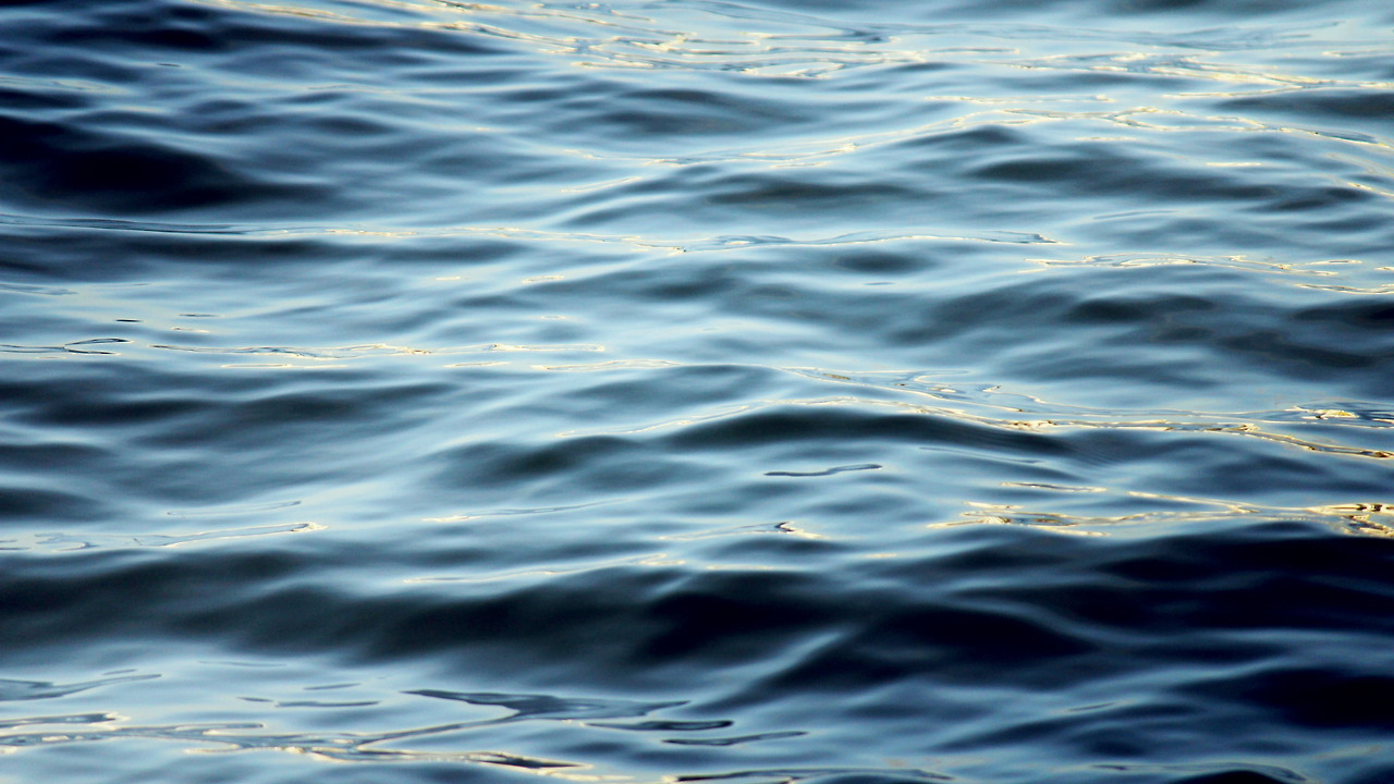 wallpaperbetter.com_1920x1080 (9).jpg