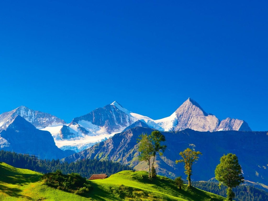 wallpaperbetter.com_1024x768 (5).jpg