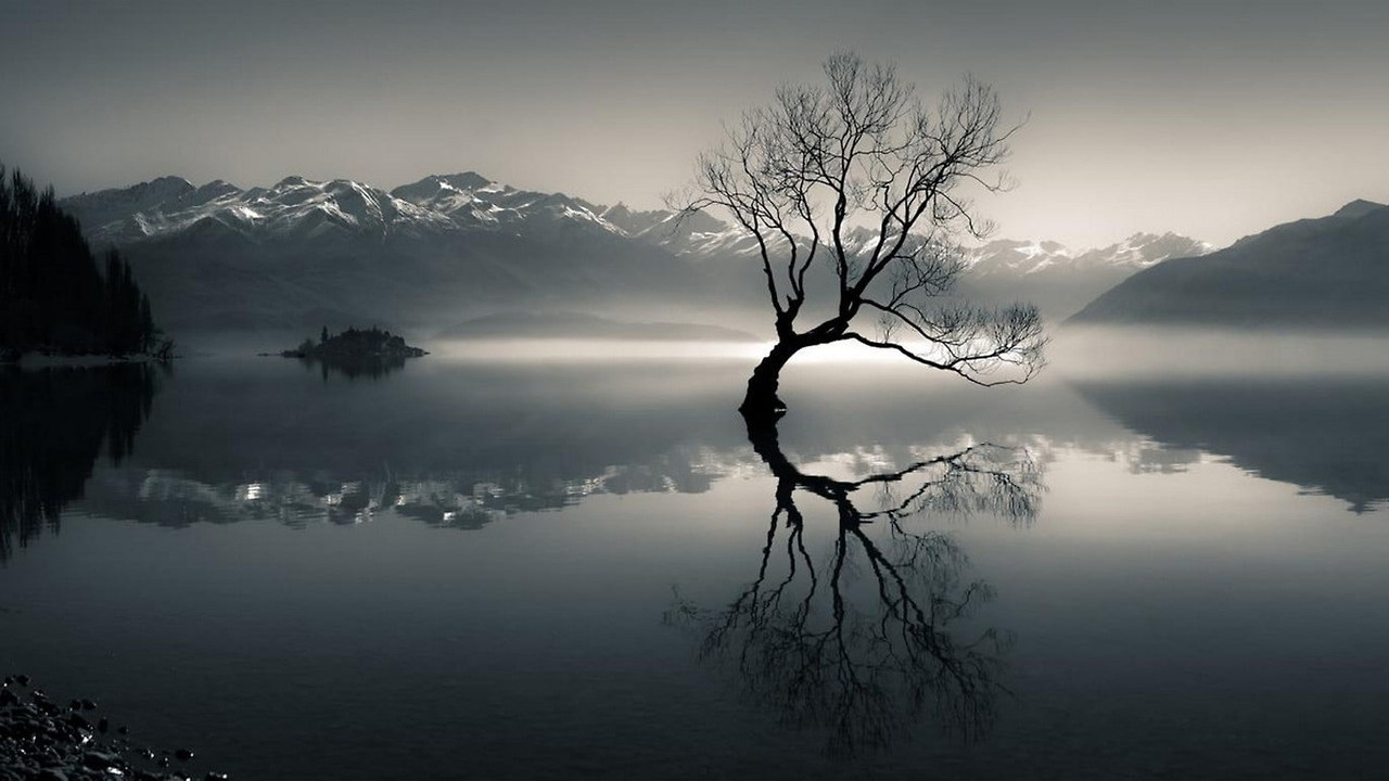 wallpaperbetter.com_1920x1080 (14).jpg